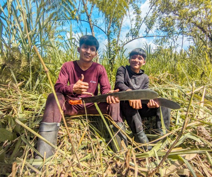 photo_5183693693259984237_y